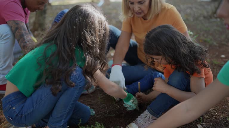 How Our Tree Care Process Works  in  West Bishop, CA